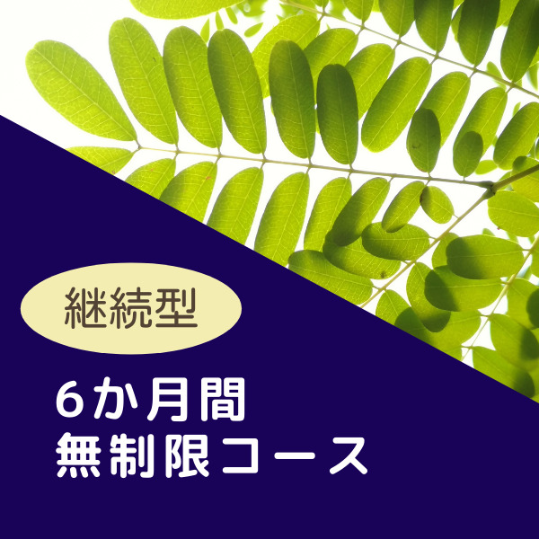 半年間メール無制限