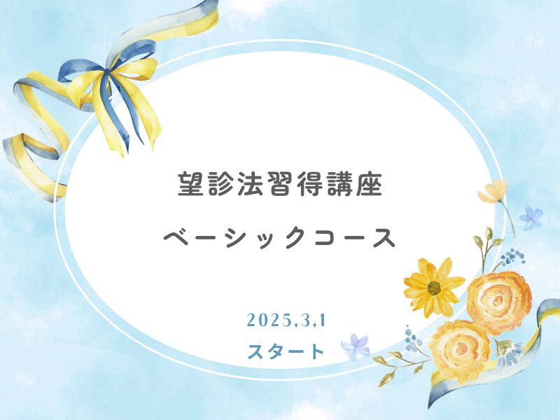 ブログ挿入画像 (4)