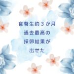ブログ挿入画像 (21)